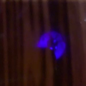 Meet your Posher, Salvo